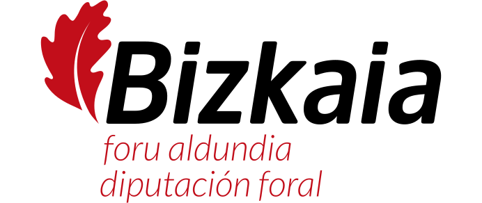 logo diputacion foral de bizkaia